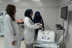 Basic Laparoscopic Skills Workshop